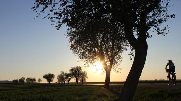 Der "Aischgründer Genuss-Radweg" führt von Neustadt über die Ortschaften Unterschweinach, Eichelberg, Ipsheim, Dietersheim, Langenfeld und Ehe und ist damit insgesamt 70,1 Kilometer lang. Der tiefste Punkt der Strecke liegt bei 280 Metern, der höchste bei 423 Metern. Insgesamt müssen Radfahrer 464 Höhenmeter zurücklegen.