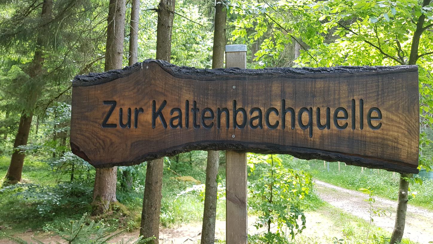 Die Kaltenbachquelle liegt am steilen Osthang des Dillbergs.