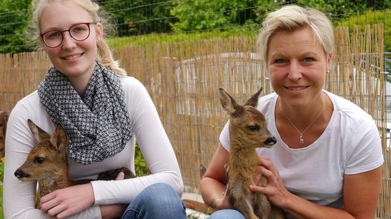 Rehkitz- und Tierhilfe Franken: Sie retten neugeborene Rehkitze vor dem Mähtod