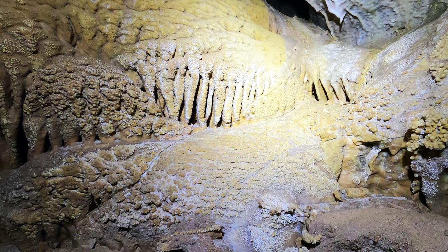 Sogar Tropfsteine und versteinerte Seelilien aus dem früheren Jurameer sind in der nun neu entdeckten Höhle in Burglengenfeld zu sehen.