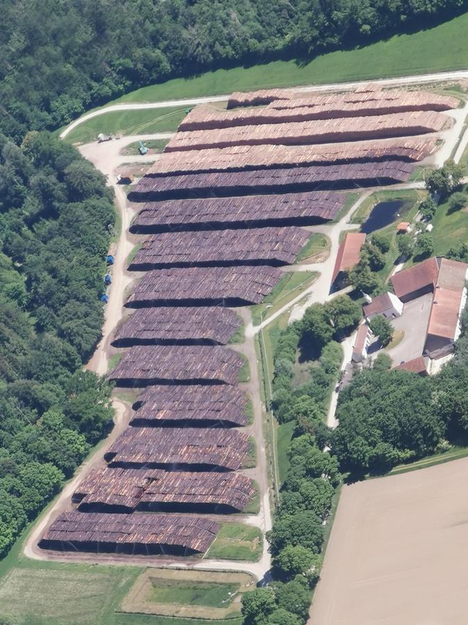 Gewaltige Holzmengen liegen im Nasslager Stillern östlich von Landsberg. 80.000 Festmetern lagern dort momentan, vor allem Folgen des Februar-Orkans "Sabine".