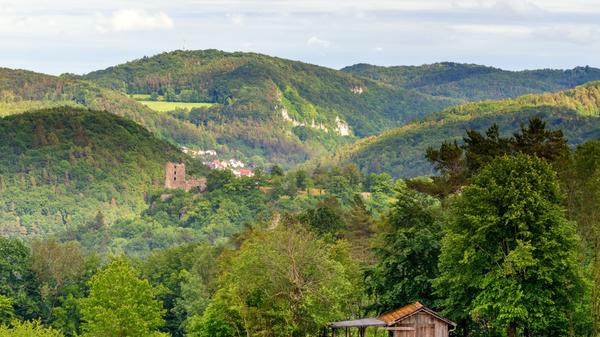 Die Lage oberhalb ihres Ortes haben nennen die Streitberger „Himmelreich“, wahrscheinlich, weil man sich dort dem Himmel wirklich näher fühlt, schreibt NN-Leser Wolfgang Streit. Ungewohnt ist für ihn der Blick von oben auf die Neideck und das Wiesenttal, dessen Verlauf man zwischen den Ausläufern der Höhenzüge nur erahnen kann. Hinter der Neideck sieht man die Ausläufer von Muggendorf mit der Felswand des Mehlbeerensteigs rechts oberhalb. Am Horizont markiert der Sendemast das „Hohe Kreuz“, auf dem, wenn man genau hinsieht, auch die Spitze des dortigen Aussichtsturmes erkennen kann. Wolfgang Streit freute sich über die ungewöhnliche Perspektive - wir uns auch und wollen sie Ihnen nicht vorenthalten.