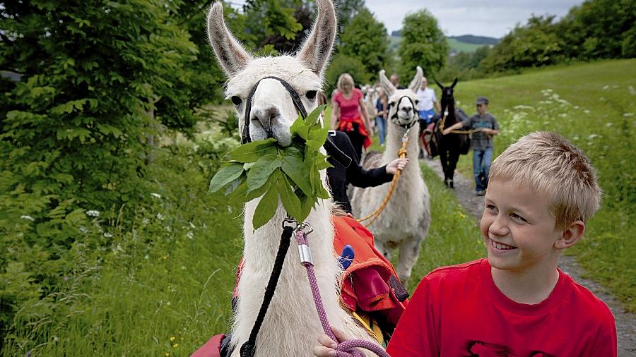 Schönster Weg führt durch die Rhön Schönster Weg führt durch die Rhön