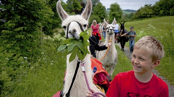 Der 175 Kilometer lange "Hochrhöner" erstreckt sich von Bad Kissingen über Hessen bis nach Bad Salzungen in Thüringen. 2010 wurde er zum schönsten Wanderweg gewählt. Ausführlichere Informationen zu dem preisgekrönten Wanderweg finden Sie in diesem Artikel.
