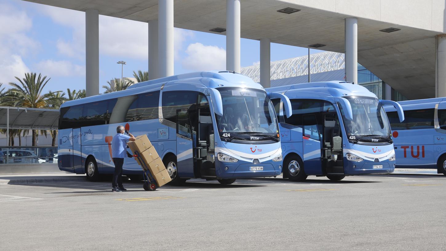 Die Busse sind vor der Ankunft der ersten Reisenden am Flughafen Palma de Mallorca geparkt. Vor Ort werden die ersten Touristen bereits erwartet.
