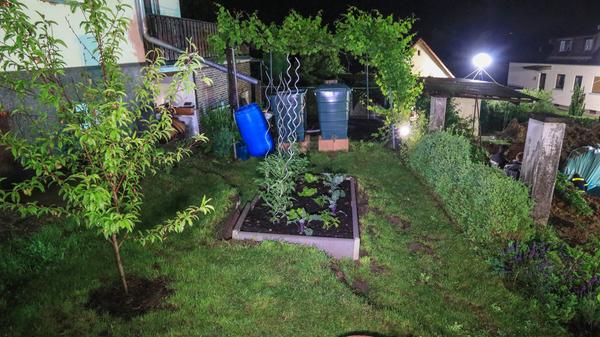 Im gesamten Garten treten Risse im Boden auf.