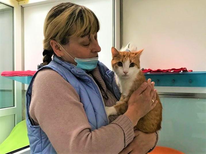 nach uber zehn jahren wieder zuhause katze muschi ist kater gregor nurnberg nordbayern de