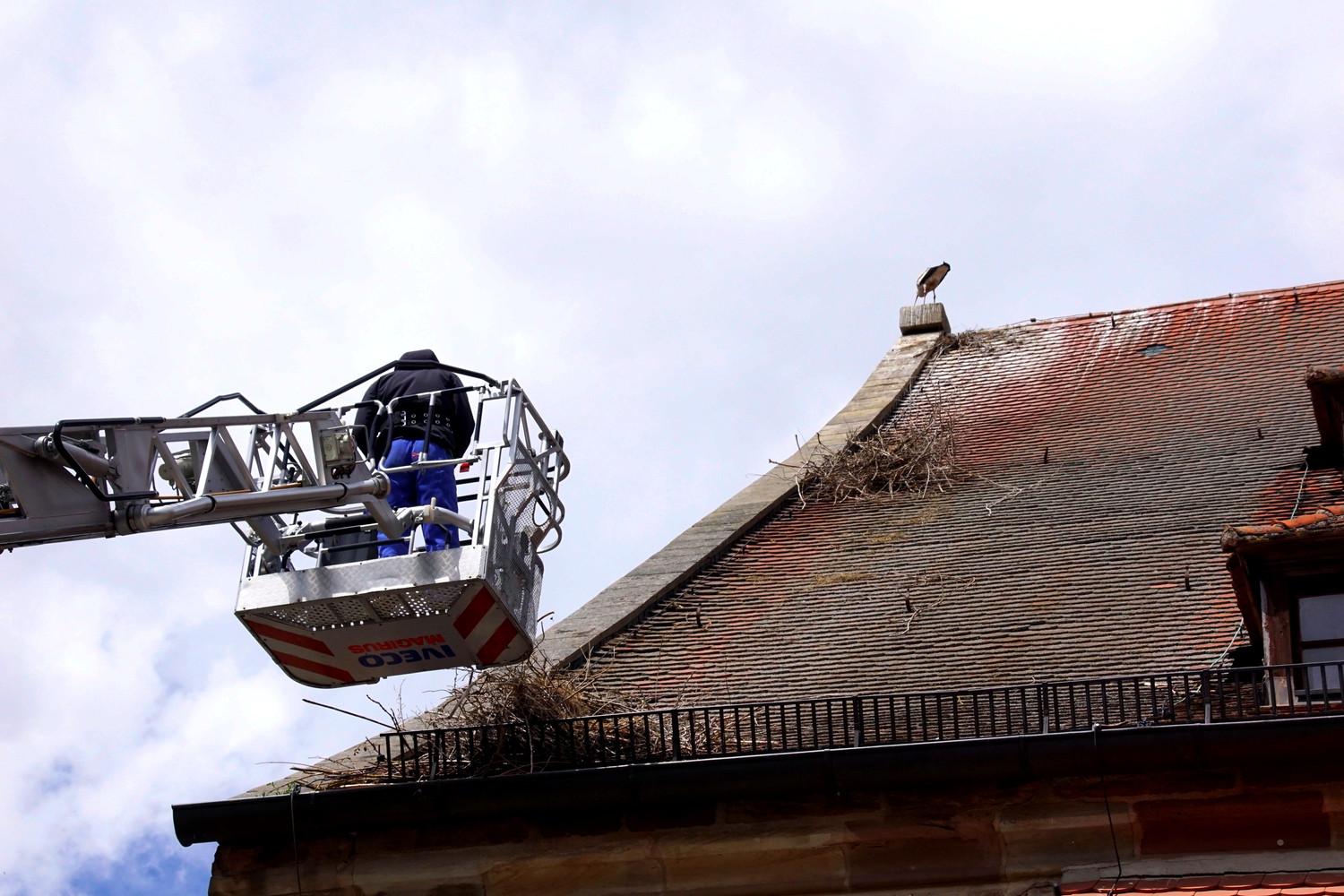 Nachdem das Storchennest auf der Gunzenhäuser Stadtkirche von einer Windboe vom Dach gefegt worden war, konnte Storchenexperte Bernhard Langenegger wenigstens eines der drei Küken retten. Unterstützt wurde er bei der Aktion von der Gunzenhäuser Feuerwehr, die ihre Drehleiter ausfuhr.