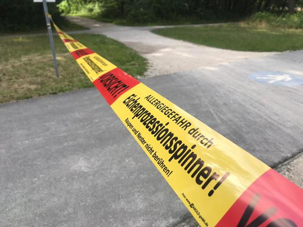 Eichenprozessionsspinner: Erste Absperrungen in Nürnbergs Parks