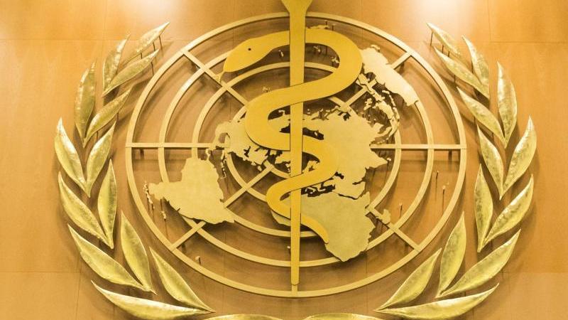 Laut Experten hätten die WHO ebenso wie die Länder besser auf die Pandemie reagieren können.