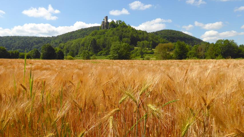 Goldenes Getreide, grüner Wald, weißblauer Himmel - so sieht der Sommer an der Burgrunine Neideck bei Streitberg aus.