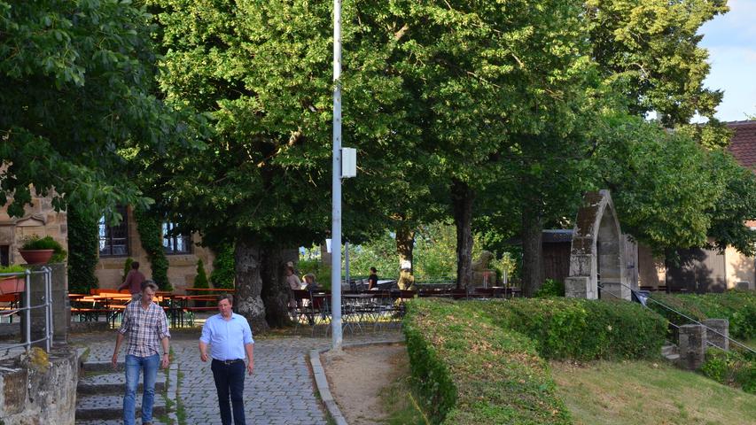 Wilde Rose, Altenburg und Greifenklau: So schön sind Bambergs Biergärten