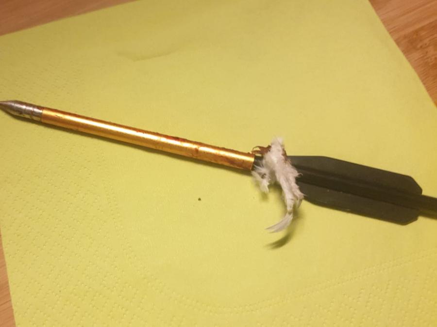 Der Main Von Quelle Bis Zur Mundung Main Radweg Der