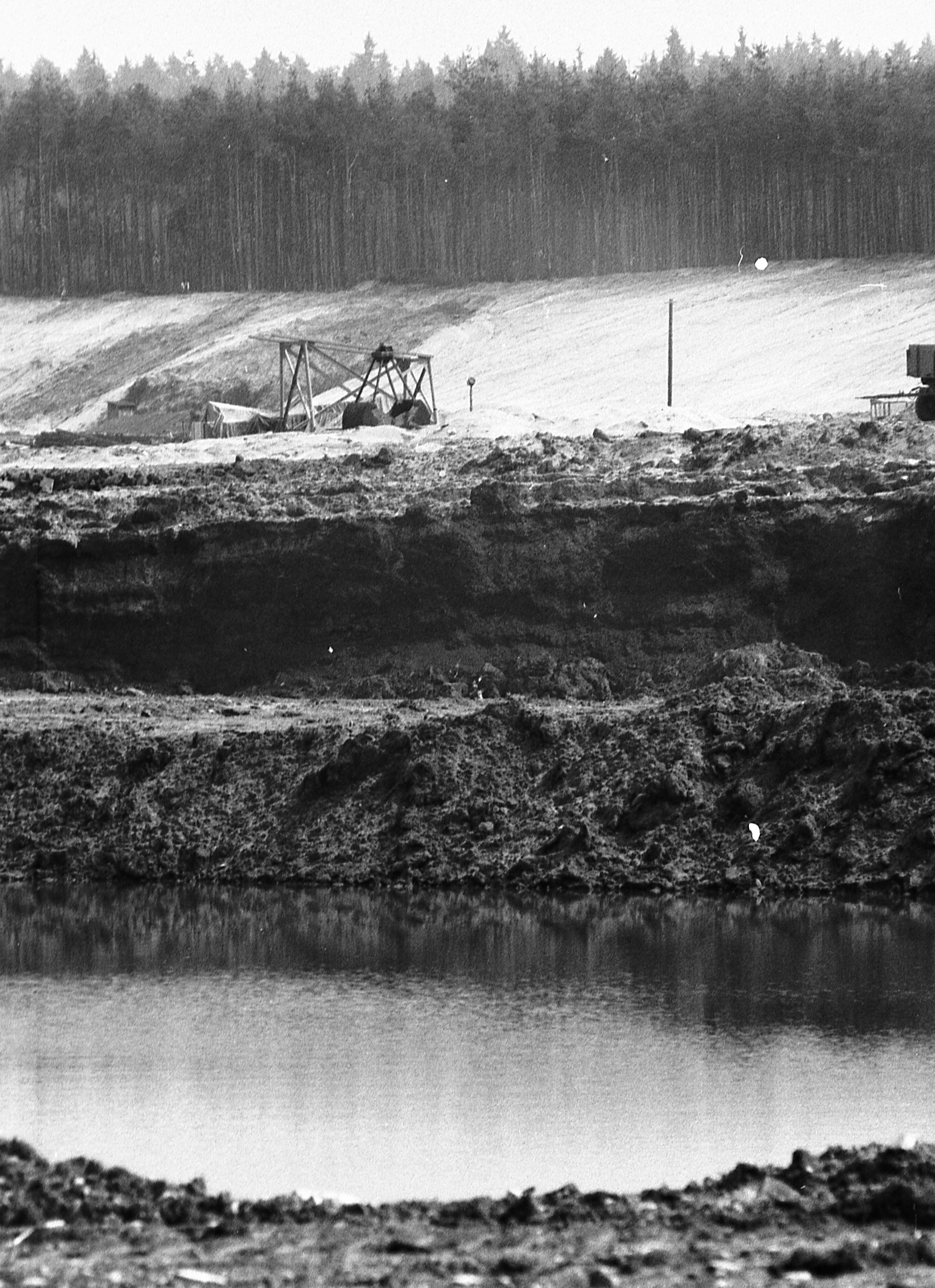 Der Birkensee ist kein natürliches Gewässer. Als sein Ursprung gelten Bauarbeiten für das Autobahnkreuz Nürnberg in den 50er Jahren. Von 1958 bis Mitte der 80er Jahre baute dann das Forstamt Nürnberg-Ost in diesem Gebiet großflächig Sand ab. Aus diesen Sandgruben entstanden schließlich der Große und der Kleine Birkensee. 