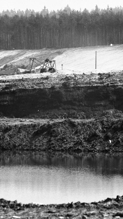 Der Birkensee ist kein natürliches Gewässer. Als sein Ursprung gelten Bauarbeiten für das Autobahnkreuz Nürnberg in den 50er Jahren. Von 1958 bis Mitte der 80er Jahre baute dann das Forstamt Nürnberg-Ost in diesem Gebiet großflächig Sand ab. Aus diesen Sandgruben entstanden schließlich der Große und der Kleine Birkensee. 
