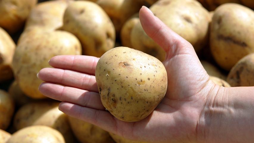 Kartoffeln  sind reich an Kohlenhydraten, Eiweiß, Kalium, Magnesium und Eisen. Sie bestehen zu 80 Prozent aus Wasser und sind deshalb kalorienarm. Auch die Vitamine B1, B2 und C stecken reichlich in der Knolle. Pellkartoffeln enthalten mehr Kalium als beispielsweise gekochte Möhren oder Kürbis.