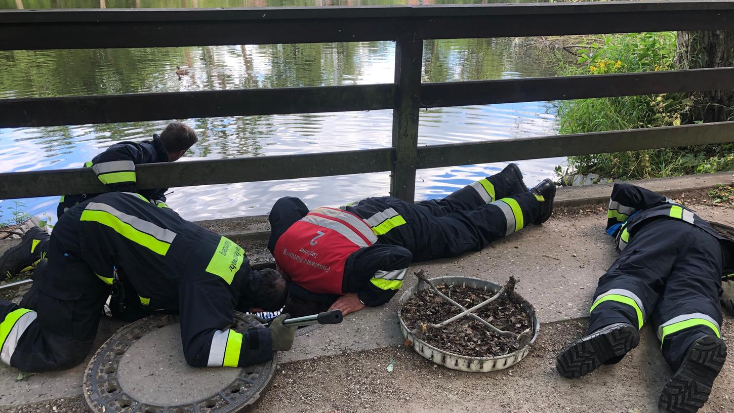 Bei der Rettung der kleinen Enten war bei den Feuerwehrleuten voller Körpereinsatz gefordert. Foto: Laura Voigt