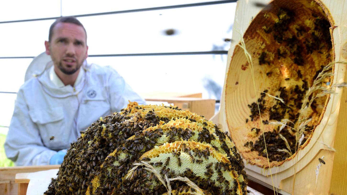 Fleißige Sammler: Fürther Polizei-Bienen weiter im Dienst