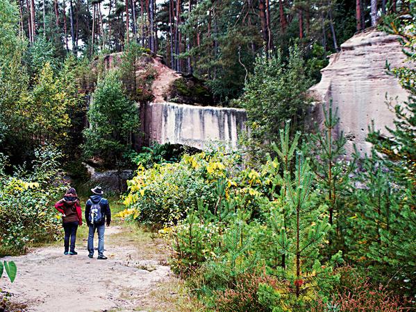 Die Natur zeigt sich vielfältg auf dem "Seenländer".