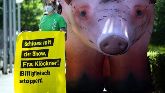 Nürnberger Ernährungsexperte zu Fleischkonsum: "Darm macht da keinen Unterschied"