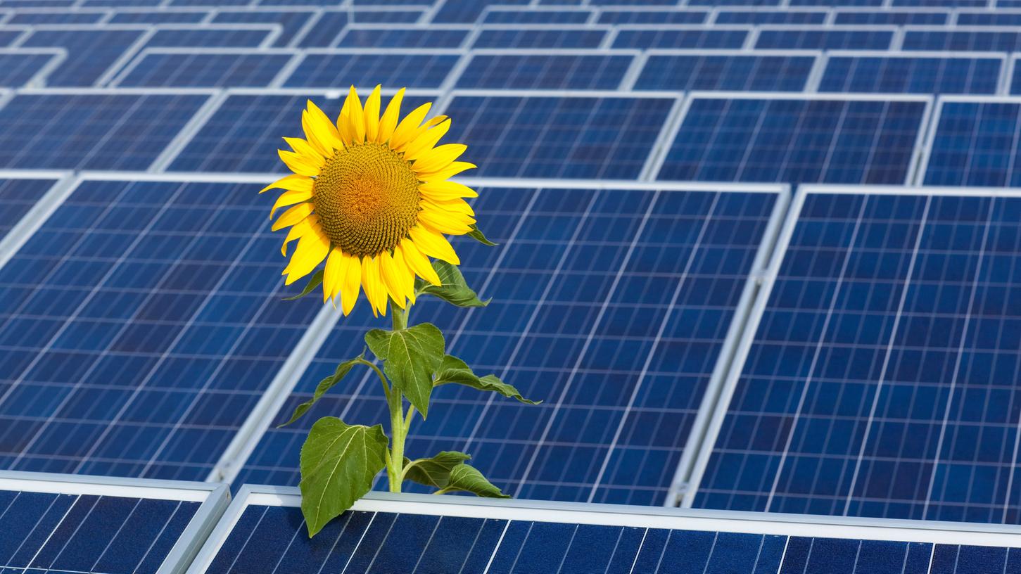 Größere Solarparks produzieren in Bayern mehr Strom, als die Verteilnetze aufnehmen können.
