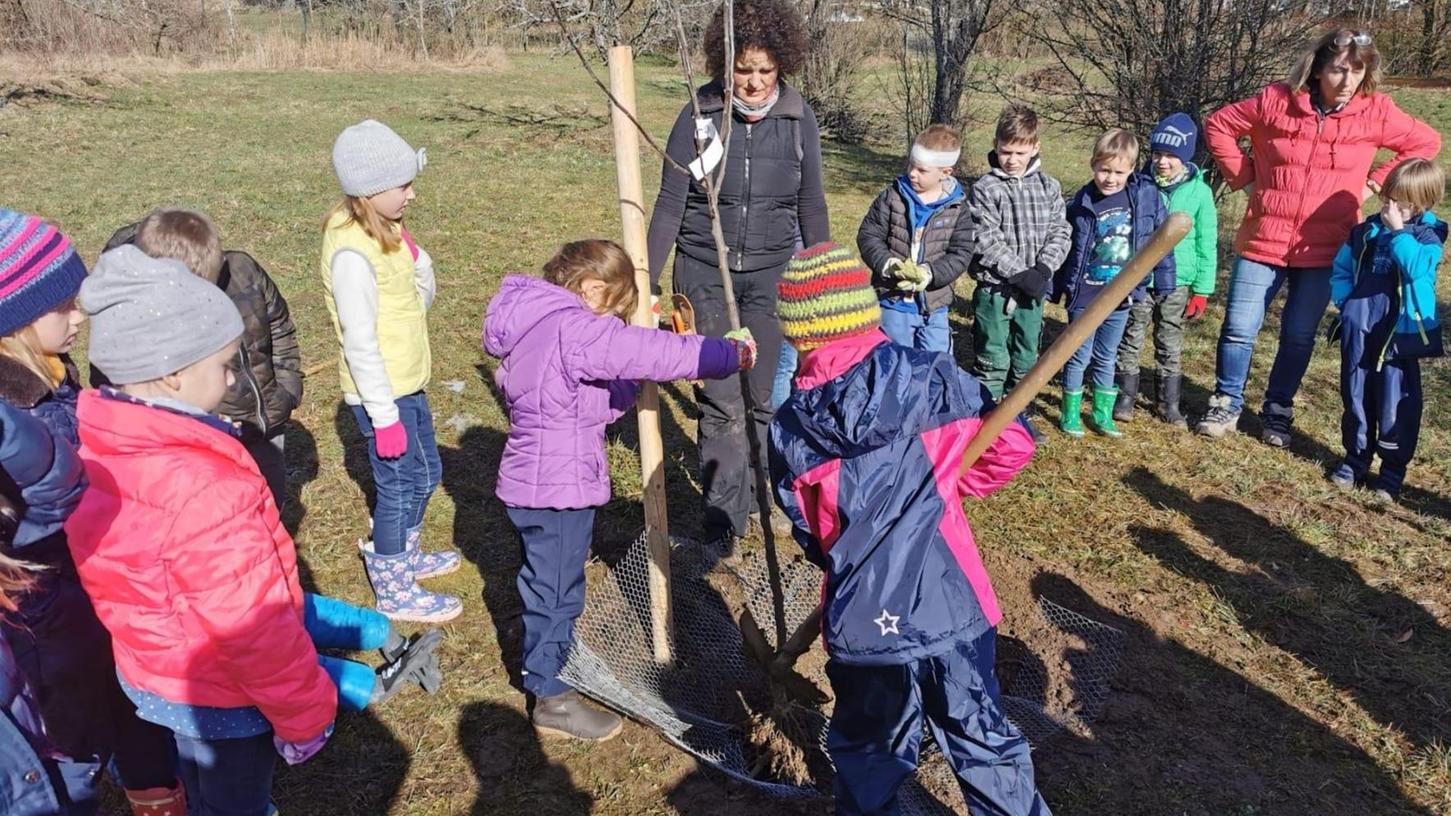 Kinder setzen Streuobst-Projekt mit Apfelbäumen in Bärnfels fort