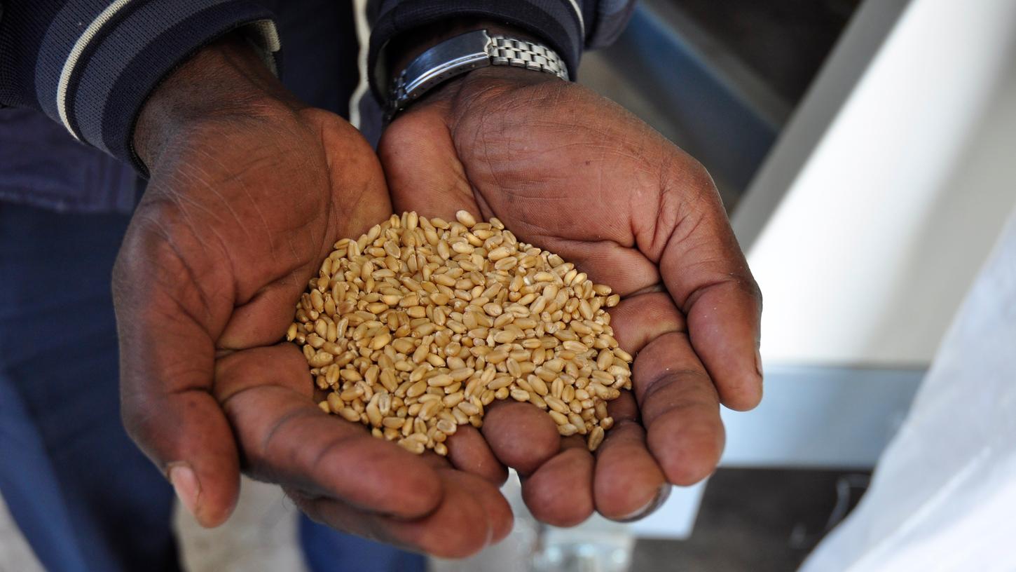 Mehr als eine Handvoll Getreide - bessere Handelsbedingungen könnten Afrikas Weg zu mehr Wohlstand beschleunigen. 