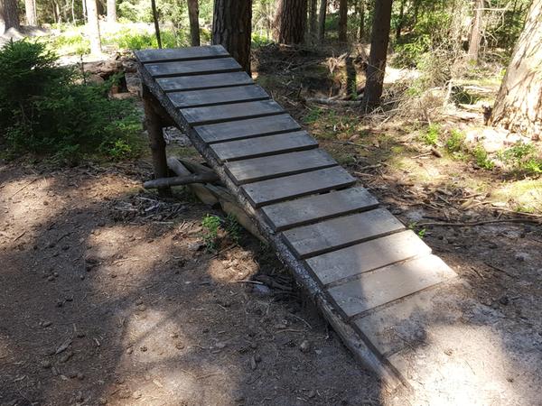 Nach Abriss der Schanzen: Bikepark im Reichswald geplant