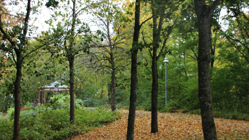Bad Windsheim: Vom Kurpark zum neuen Ort für die Landesgartenschau