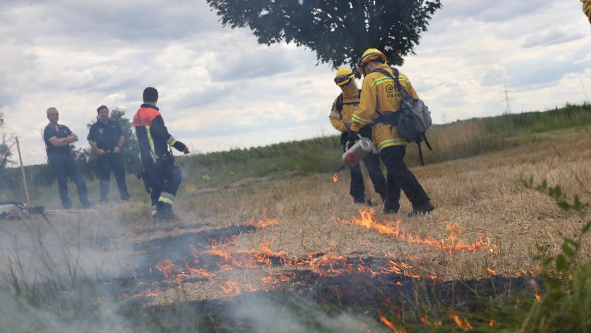 Lodernde Flammen: Feuerwehr Kirchehrenbach übt Löschen eines Flächenbrands