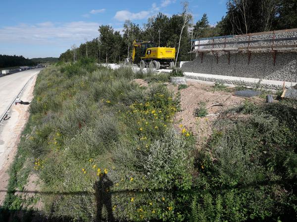 An der A73 in Höhe der Siedlung Gartenstadt ist eine weitere Fahrspur im Bau. Plötzlich entdeckte ein Baggerfahrer beim Erdaushub in seiner Schaufel Skelettreste.