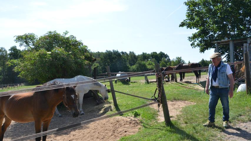 Reiterhof Kiliansdorf: Ein Leben für die Pferde