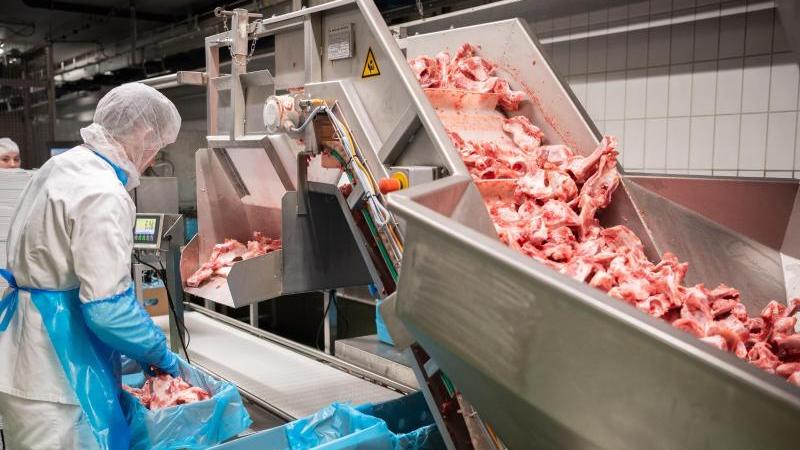 Leiharbeit in der Fleischindustrie wird zu weiten Teilen verboten. Ausgenommen sind Betriebe mit weniger als 50 Angestellten (Mitarbeiter aus dem Verkauf werden nicht mitgezählt). Es gibt eine Ausnahmeregelung, um Auftragsspitzen abzufangen. Diese ist auf drei Jahre befristet und unterliegt strengen Auflagen.