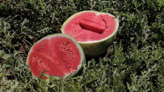 Im Supermarkt: So erkennen Sie die perfekte Wassermelone