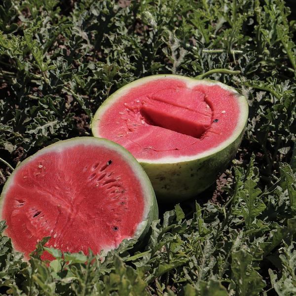 weitere interessante Themen: