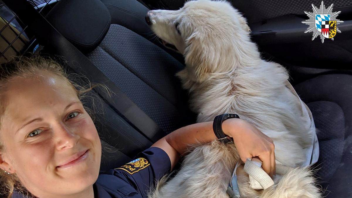 Gunzenhäuser Polizei hat ein Herz für Hunde
