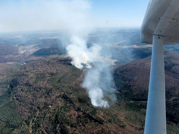 Unschöne Aussichten: Waldbrände haben verheerende Folgen für Mensch, Tier und Natur.  