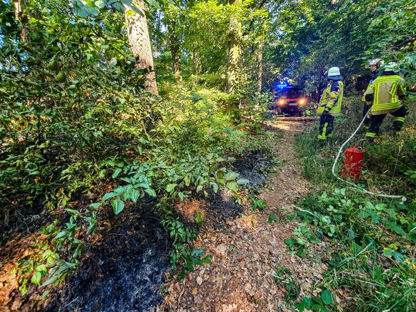 Feuerwehr löscht Flächenbrand im Forchheimer Kellerwald