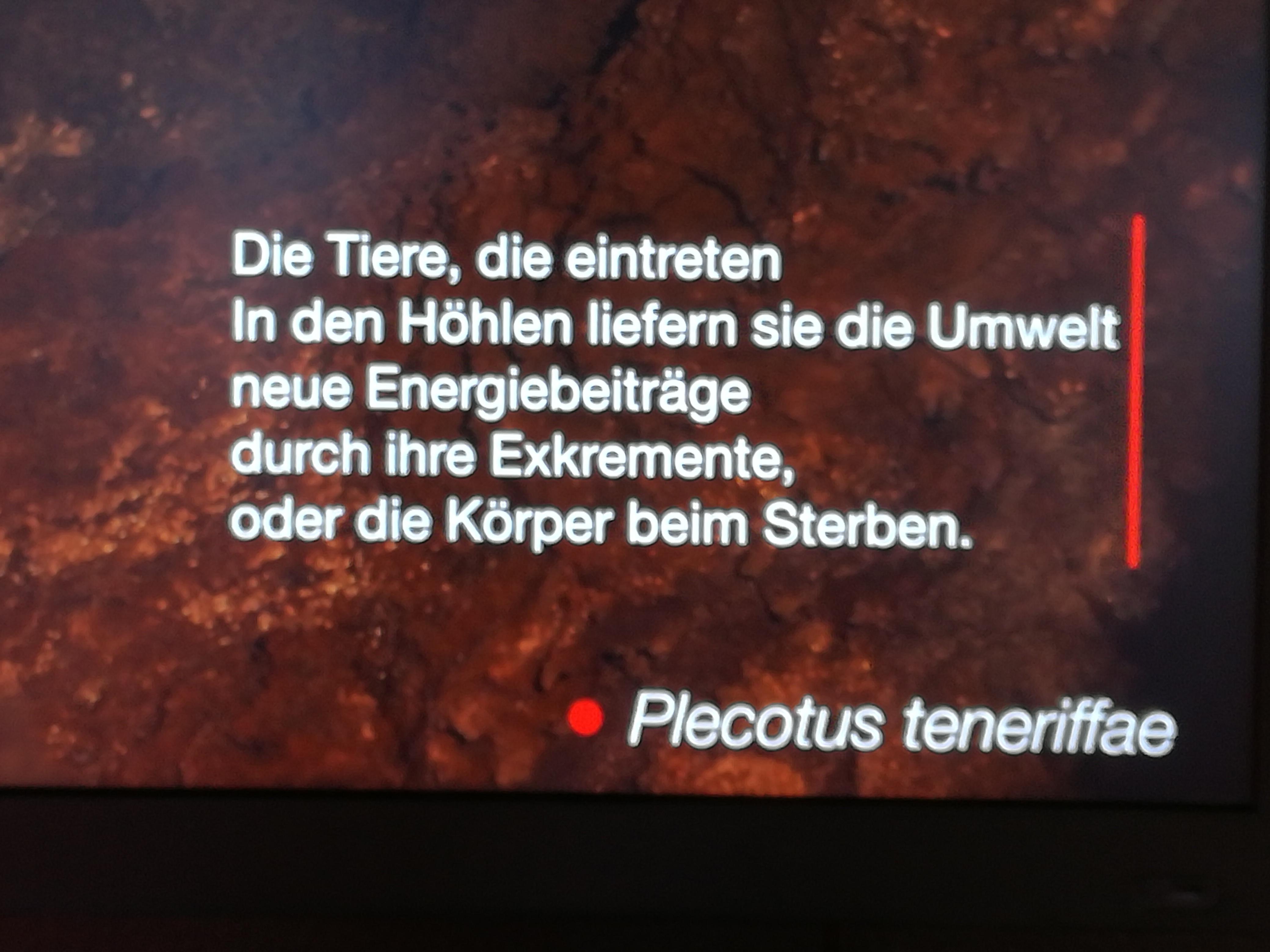 Das Sind Die Lustigsten Deutsch Ubersetzungen Im Urlaub Und Auf Reisen Nordbayern