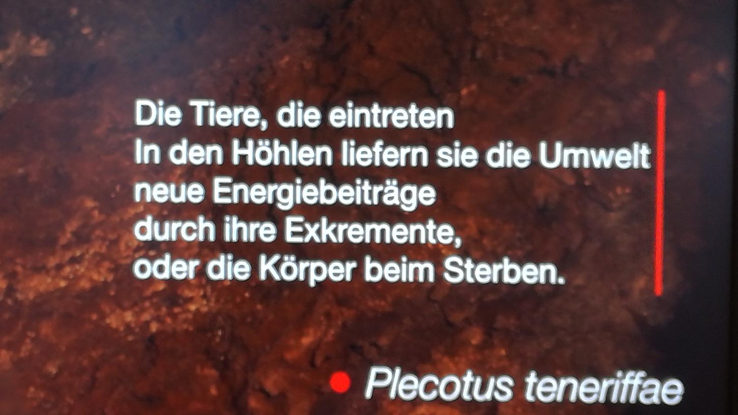 Das Sind Die Lustigsten Deutsch Ubersetzungen Im Urlaub Und Auf Reisen Nordbayern Das Sind Die Lustigsten Deutsch Ubersetzungen Im Urlaub Und Auf Reisen Nordbayern
