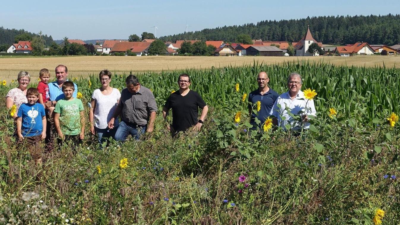 Nattershofen: Nahrung für Bienen am Feldrand