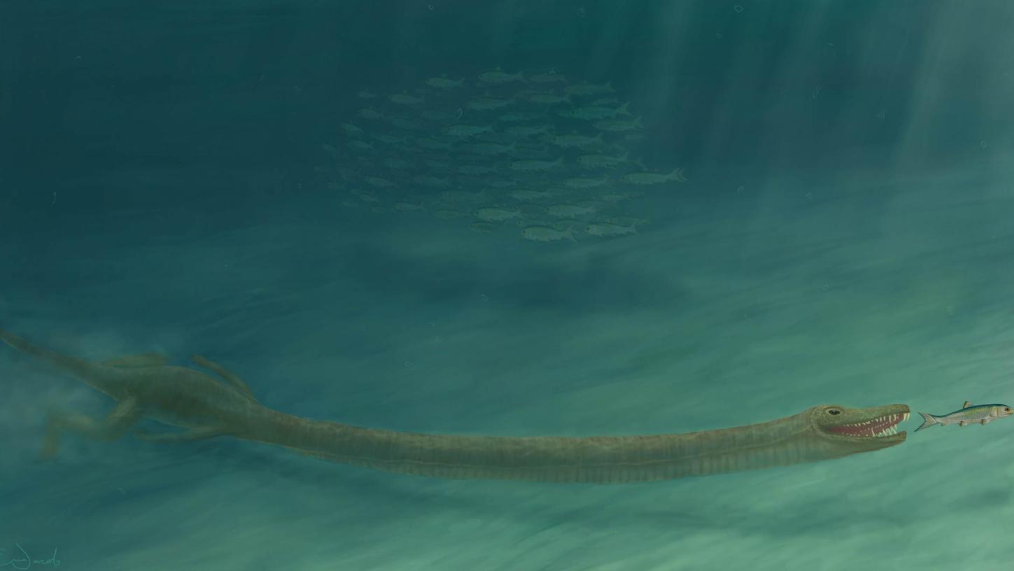 Rätsel um Nessie gelöst? Skurriles Reptil mit Giraffenhals lebte im Wasser