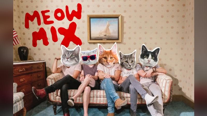Zum Weltkatzentag: US-Band veröffentlicht Album neu - mit Miau statt Gesang