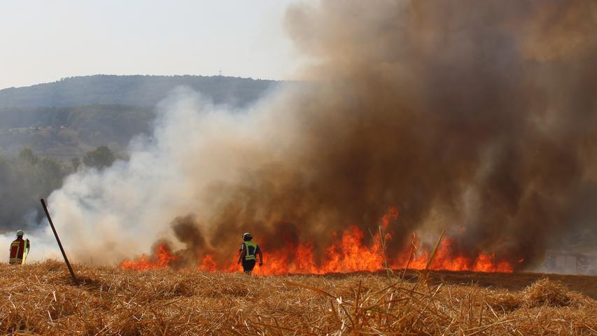Getreidefeld brennt lichterloh: Großeinsatz bei Pretzfeld