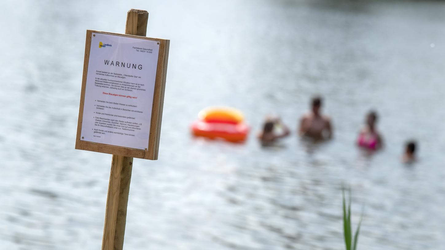 Ungetrübter Badespaß: Blaualgen-Warnung im Seenland aufgehoben