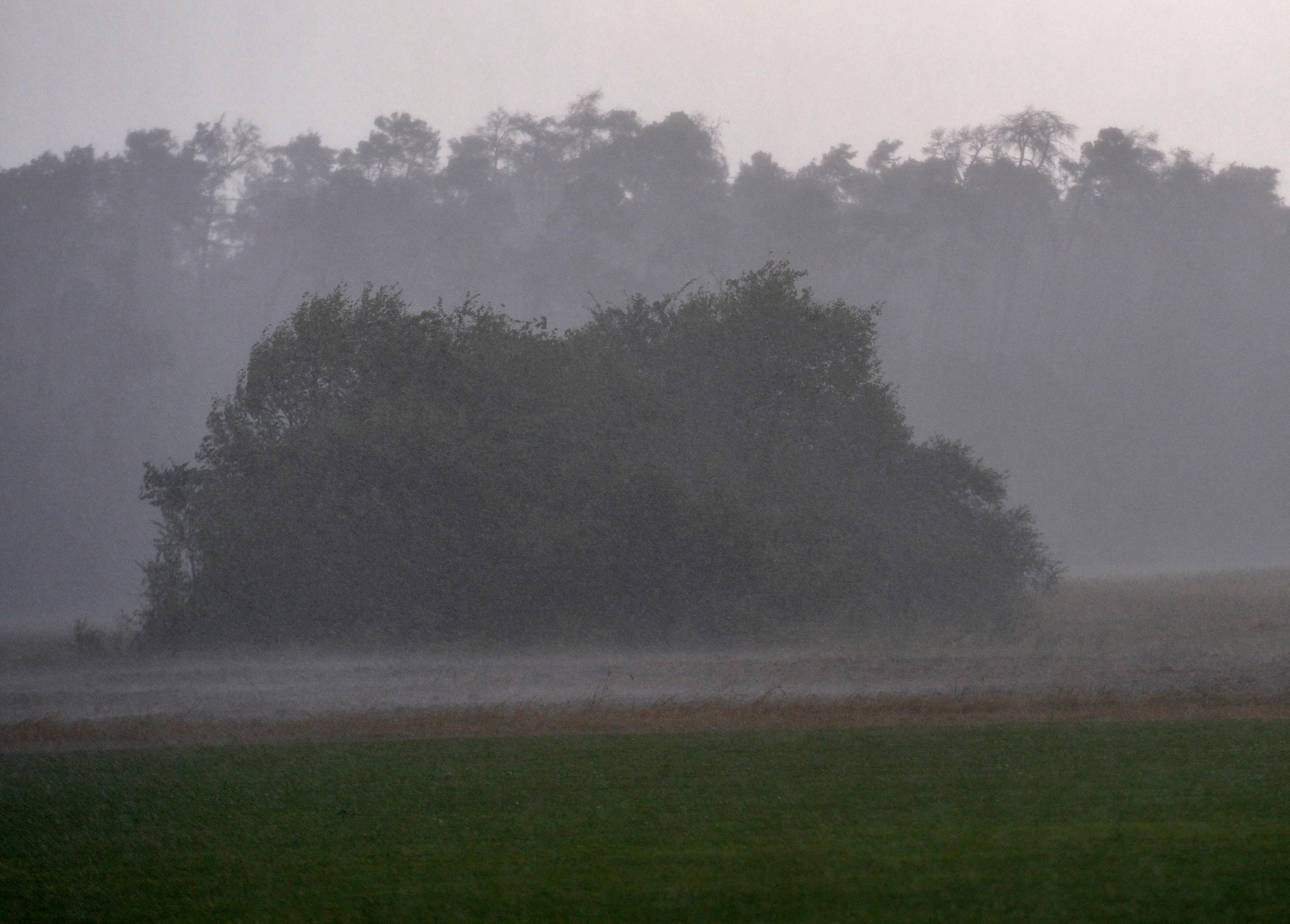 ... sorgten die Stürme für Schäden in der Region. Bäume wurden...