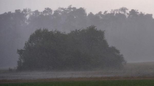 ... sorgten die Stürme für Schäden in der Region. Bäume wurden...