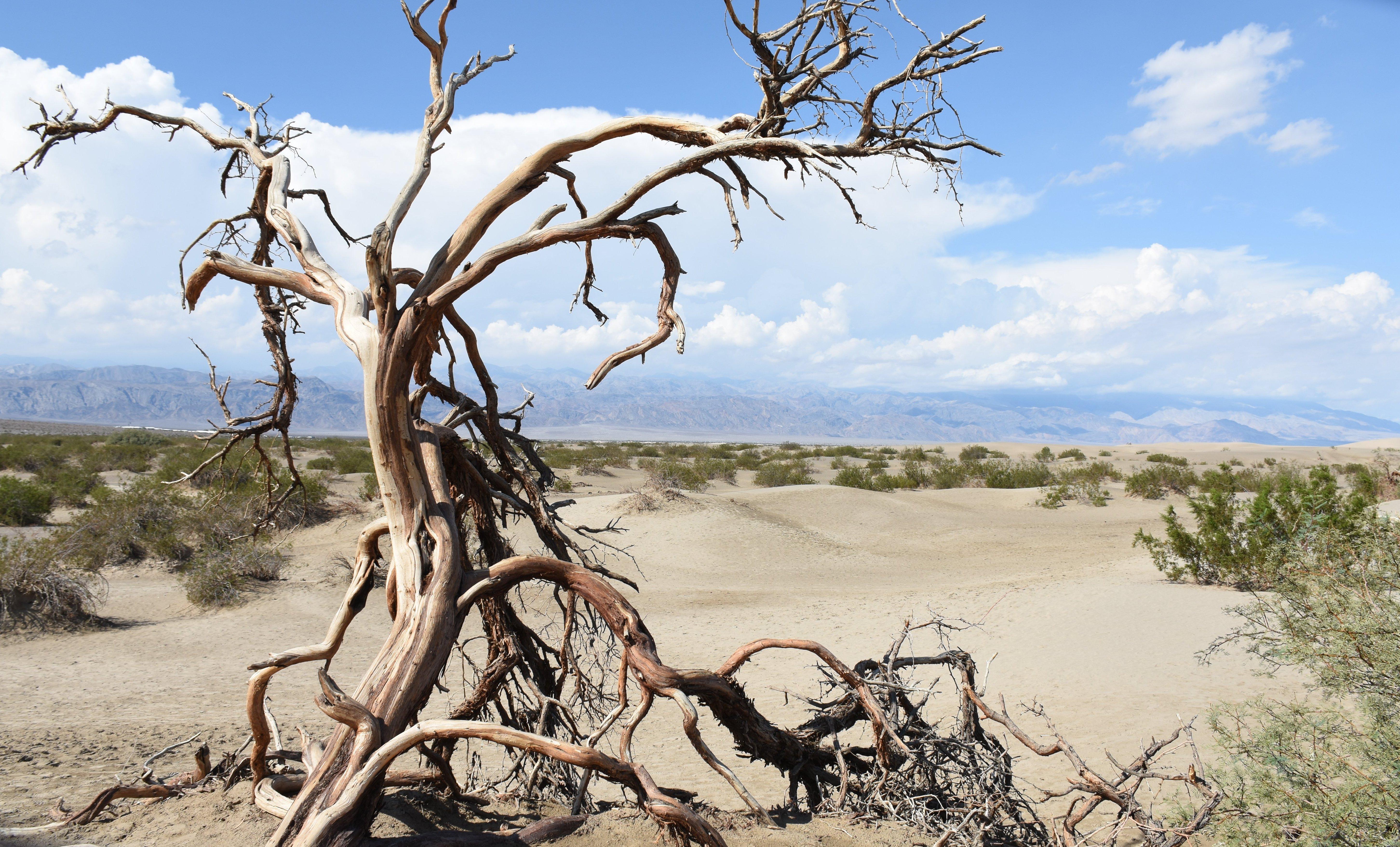 KINA - Mit den Temperaturen nach oben klettern