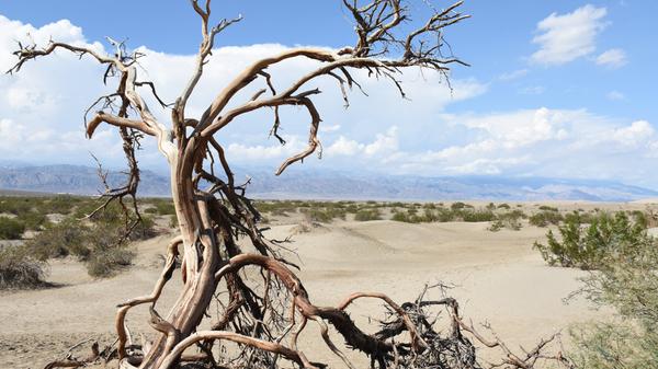 KINA - Mit den Temperaturen nach oben klettern