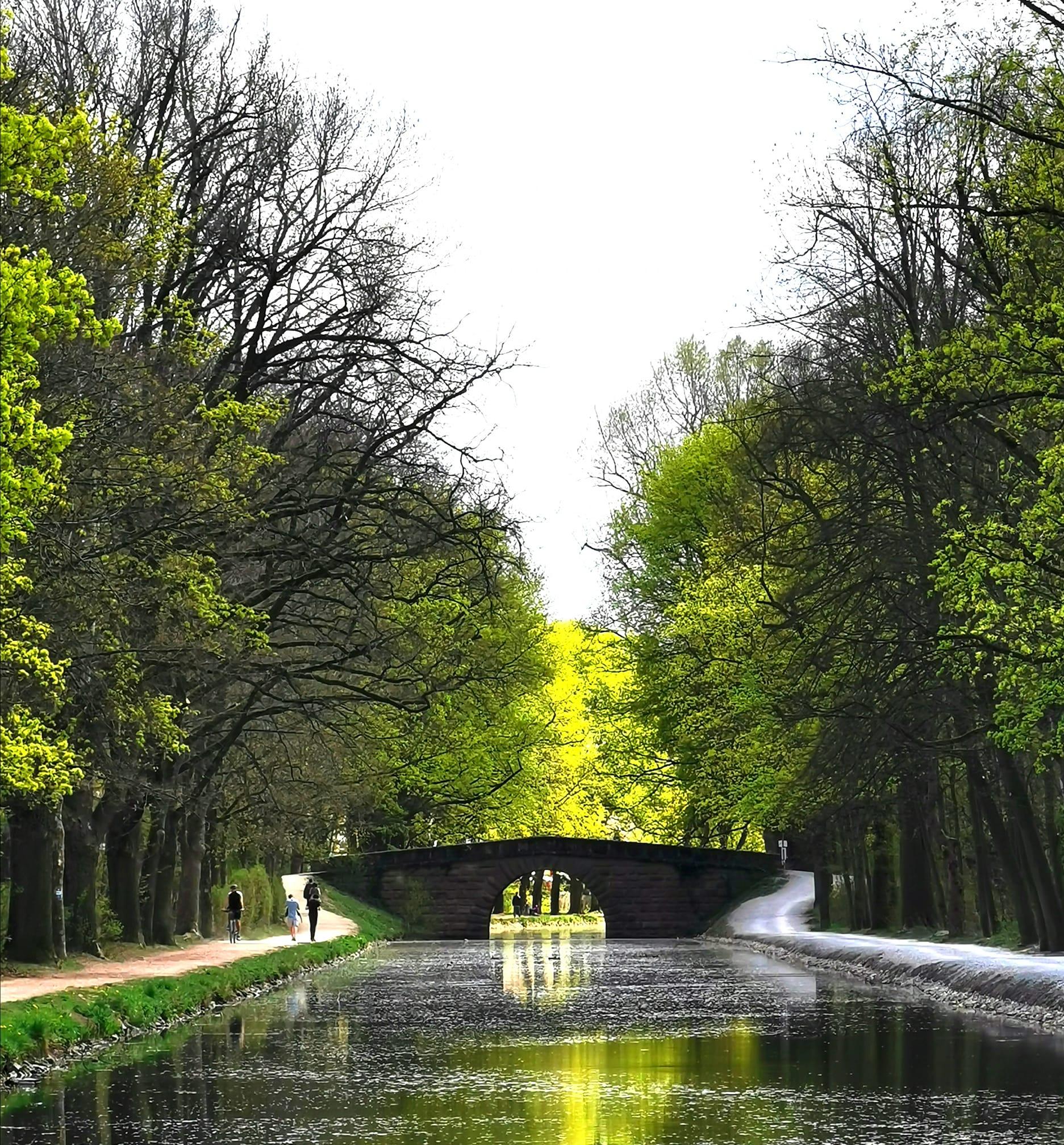 Ursprünglich hieß er Ludwig-Donau-Main-Kanal und verband den Main bei Bamberg mit der Donau bei Kelheim. Heute ist der Alte Kanal Nürnbergs schönstes Naherholungsgebiet, finden Jo Seuß und Dietmar Bruckner, die Autoren des Buchs "111 Orte in Nürnberg, die man gesehen haben muss". Besonders im goldenen Herbst kann man am Alten Kanal entlang spazieren, die Veränderung in der Natur betrachten und seinen mehr oder weniger melancholischen Gedanken nachhängen.